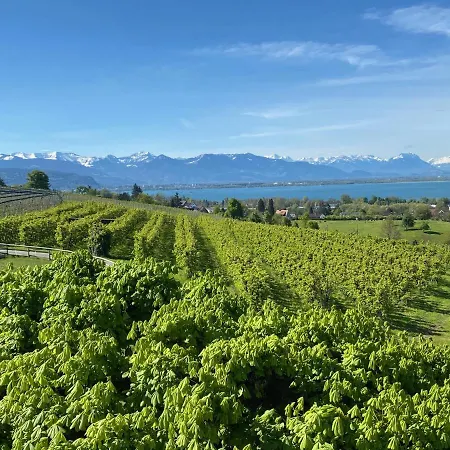 Montfort-schloessle Lindau (Bodensee)