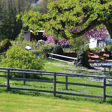 Hotel Montfort-schloessle *