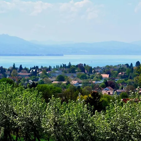 Szálloda Montfort-schloessle