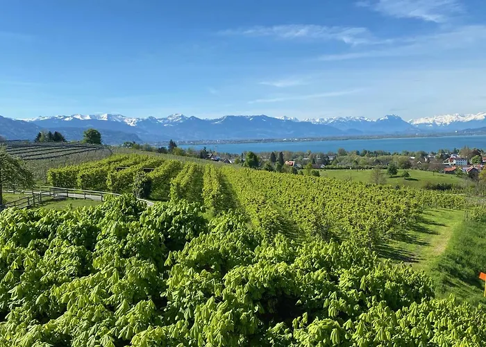Montfort-schloessle Lindau (Bodensee)