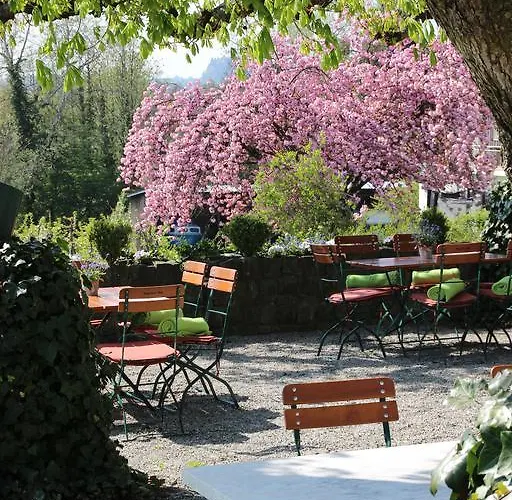 Montfort-schloessle